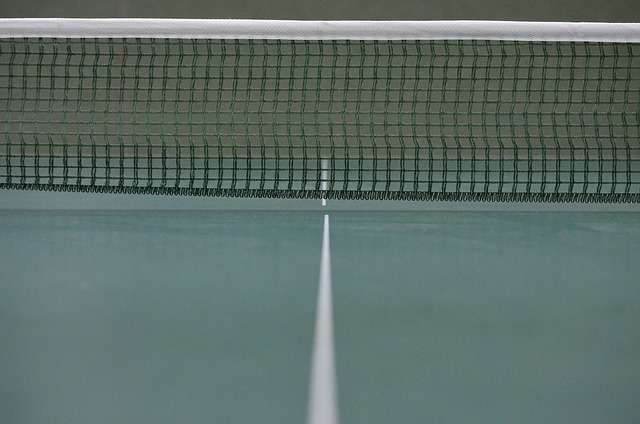 síť na stolní tenis